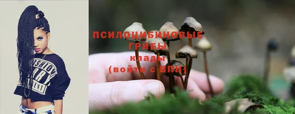ПСИЛОЦИБИНОВЫЕ ГРИБЫ Алексеевка